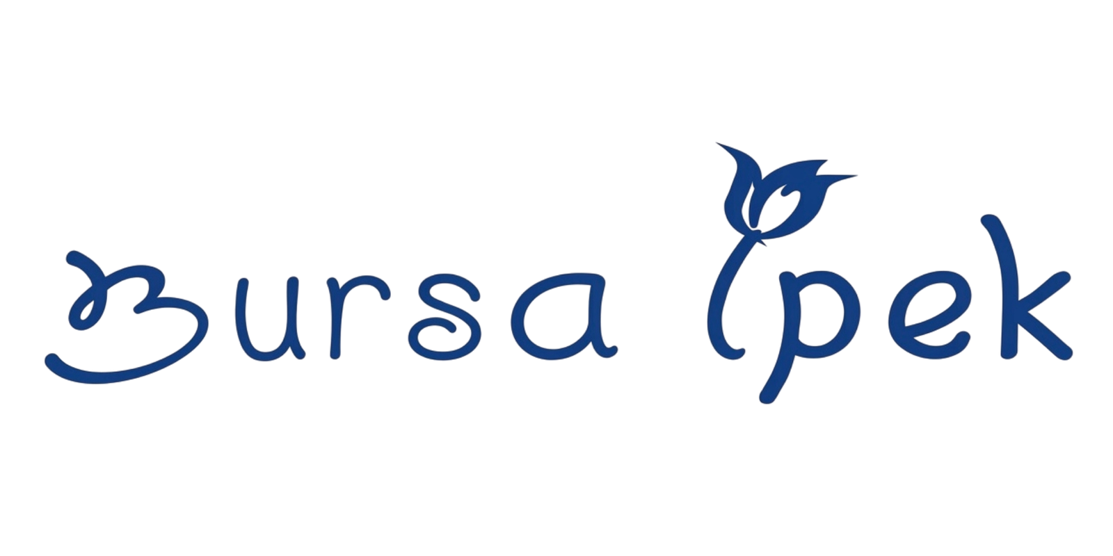 bursai-pek-logo